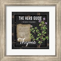 Herb Guide Thyme Fine Art Print