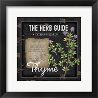 Herb Guide Thyme Framed Print