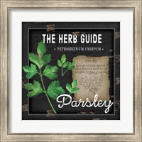 Herb Guide Parsley Fine Art Print