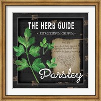 Herb Guide Parsley Fine Art Print