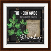 Herb Guide Parsley Fine Art Print