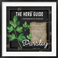 Herb Guide Parsley Fine Art Print