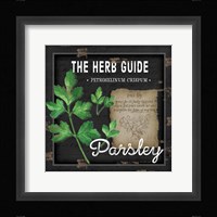 Herb Guide Parsley Framed Print