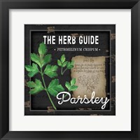 Herb Guide Parsley Framed Print