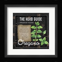 Herb Guide Oregano Framed Print