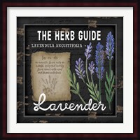 Herb Guide Lavender Fine Art Print