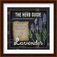 Herb Guide Lavender Fine Art Print