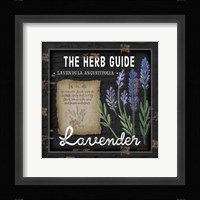 Herb Guide Lavender Framed Print