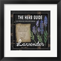 Herb Guide Lavender Framed Print