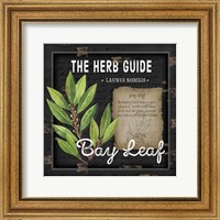 Herb Guide Bay Leaf Fine Art Print