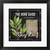Herb Guide Bay Leaf Framed Print