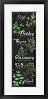 Herbs Fine Art Print