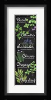 Herbs II Fine Art Print