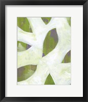 Patches II Framed Print