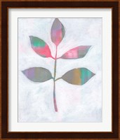Leaf Abstract III Fine Art Print