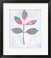 Leaf Abstract III Framed Print