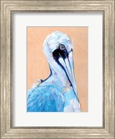Blue and White Pelican Fine Art Print