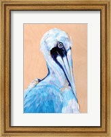 Blue and White Pelican Fine Art Print