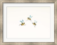 3 Bees on White Fine Art Print