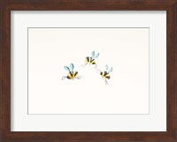 3 Bees on White Fine Art Print