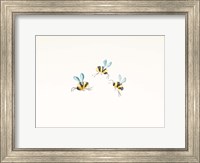3 Bees on White Fine Art Print