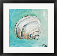 Shell Framed Print