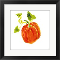 Pumpkin Patch IV Framed Print