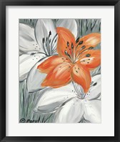 Tiger Lily in Orange Fine Art Print