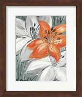 Tiger Lily in Orange Fine Art Print