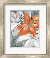 Tiger Lily in Orange Fine Art Print