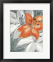 Tiger Lily in Orange Framed Print