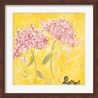 Pink Hydrangeas Fine Art Print
