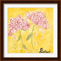 Pink Hydrangeas Fine Art Print