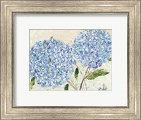 Blue Hydrangeas I Fine Art Print