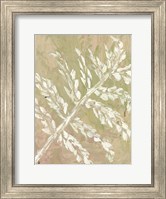 Fern No. 2 Fine Art Print