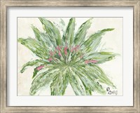 Succulent No. 1 Fine Art Print