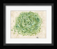 Succulent No. 2 Framed Print