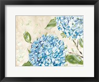 Blue Hydrangeas II Framed Print