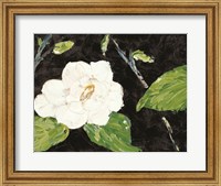 Magnolia Branch Fine Art Print