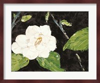Magnolia Branch Fine Art Print