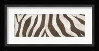 Different Stripes Fine Art Print