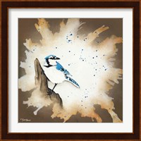 Weathered Friends - Blue Jay Fine Art Print