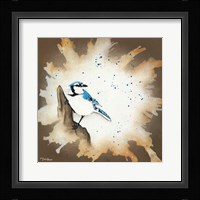 Weathered Friends - Blue Jay Framed Print