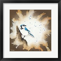 Weathered Friends - Blue Jay Framed Print