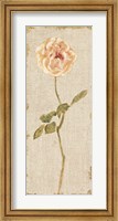 Pale Rose Panel on White Vintage v2 Fine Art Print
