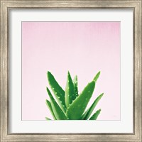 Succulent Simplicity V on Pink Fine Art Print
