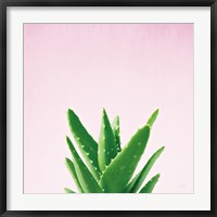 Succulent Simplicity V on Pink Fine Art Print