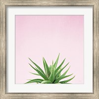 Succulent Simplicity I on Pink Fine Art Print