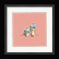 Desert Bloom XI Framed Print