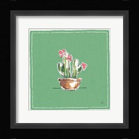 Desert Bloom X Framed Print